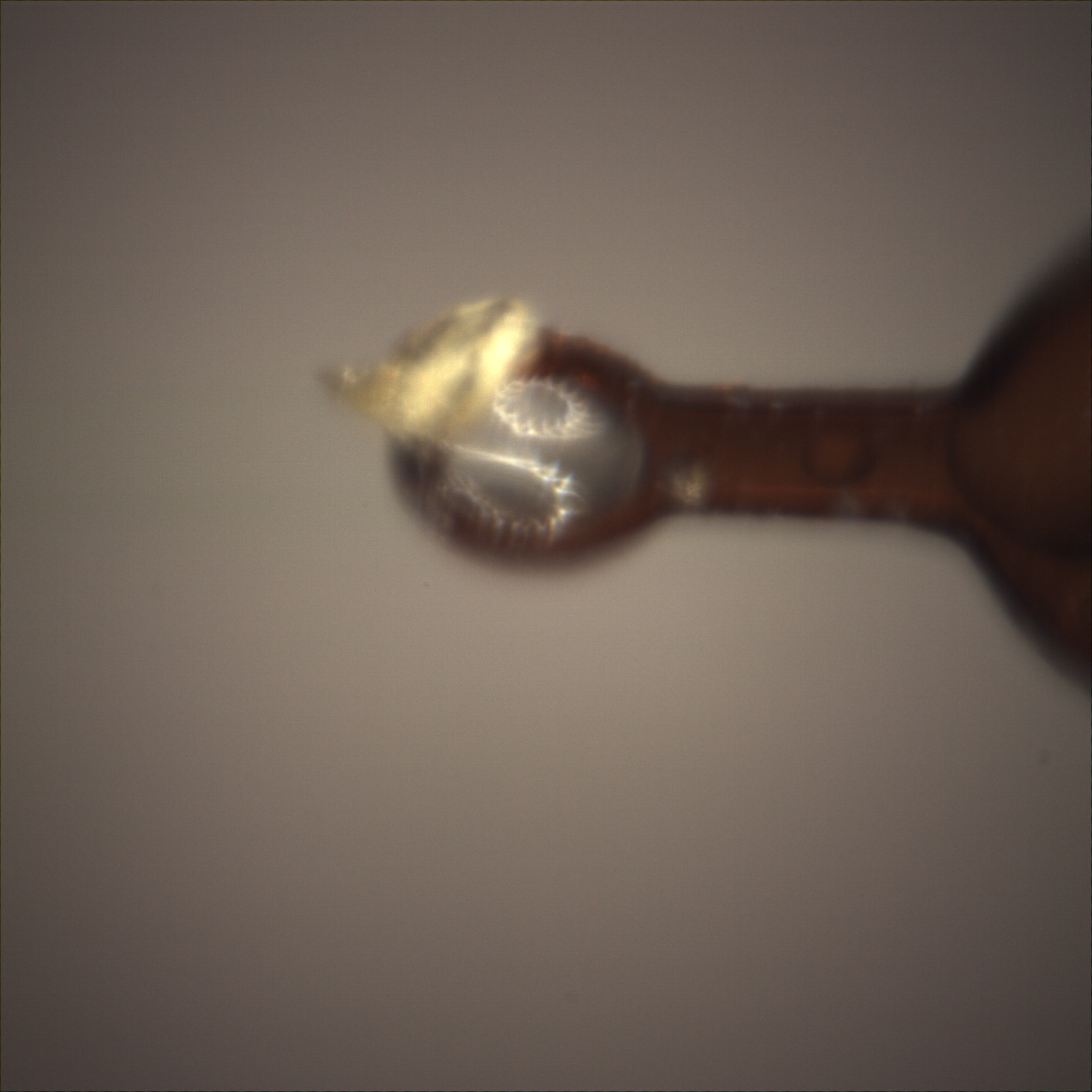 /gotthard_g/aaredb/raw/branch/main/backend/tests/sample_image/0_700.jpg