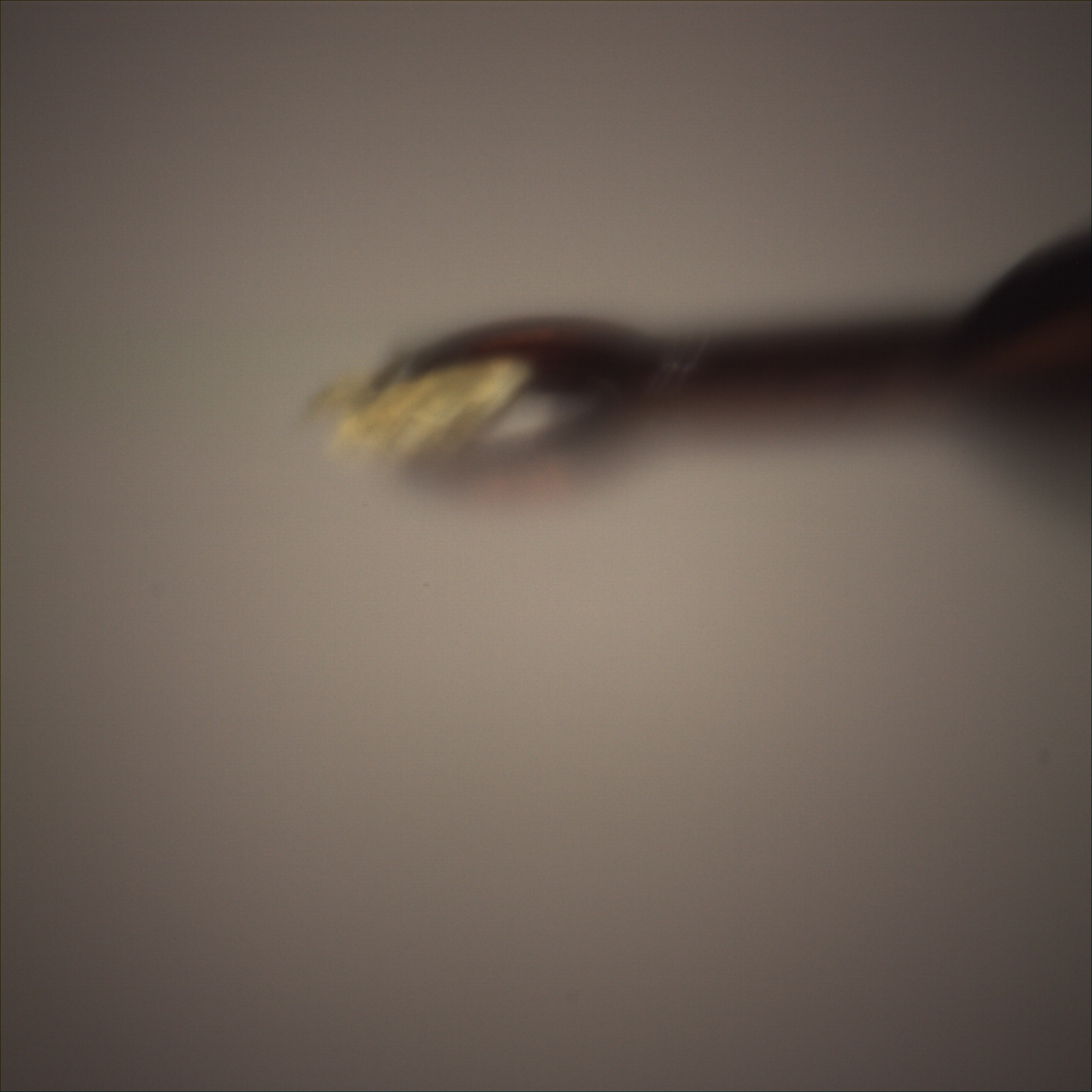 /gotthard_g/aaredb/raw/branch/main/backend/tests/sample_image/90_700.jpg