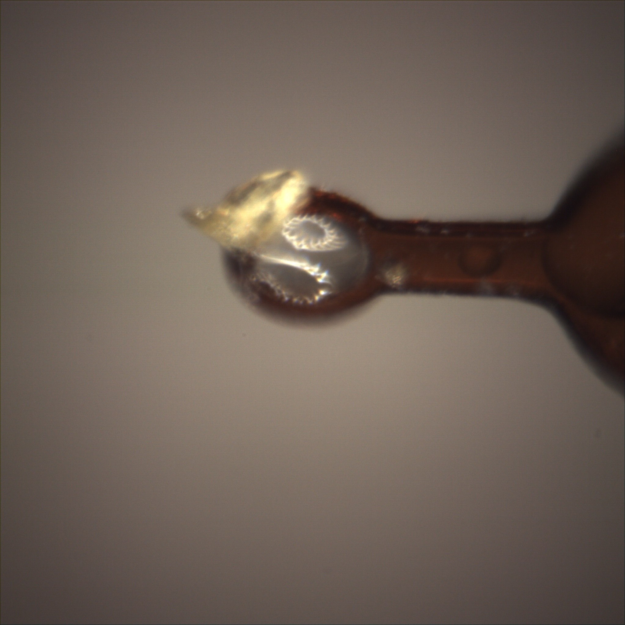 /gotthard_g/aaredb/raw/branch/main/backend/tests/sample_image/after_lc.jpeg.jpg