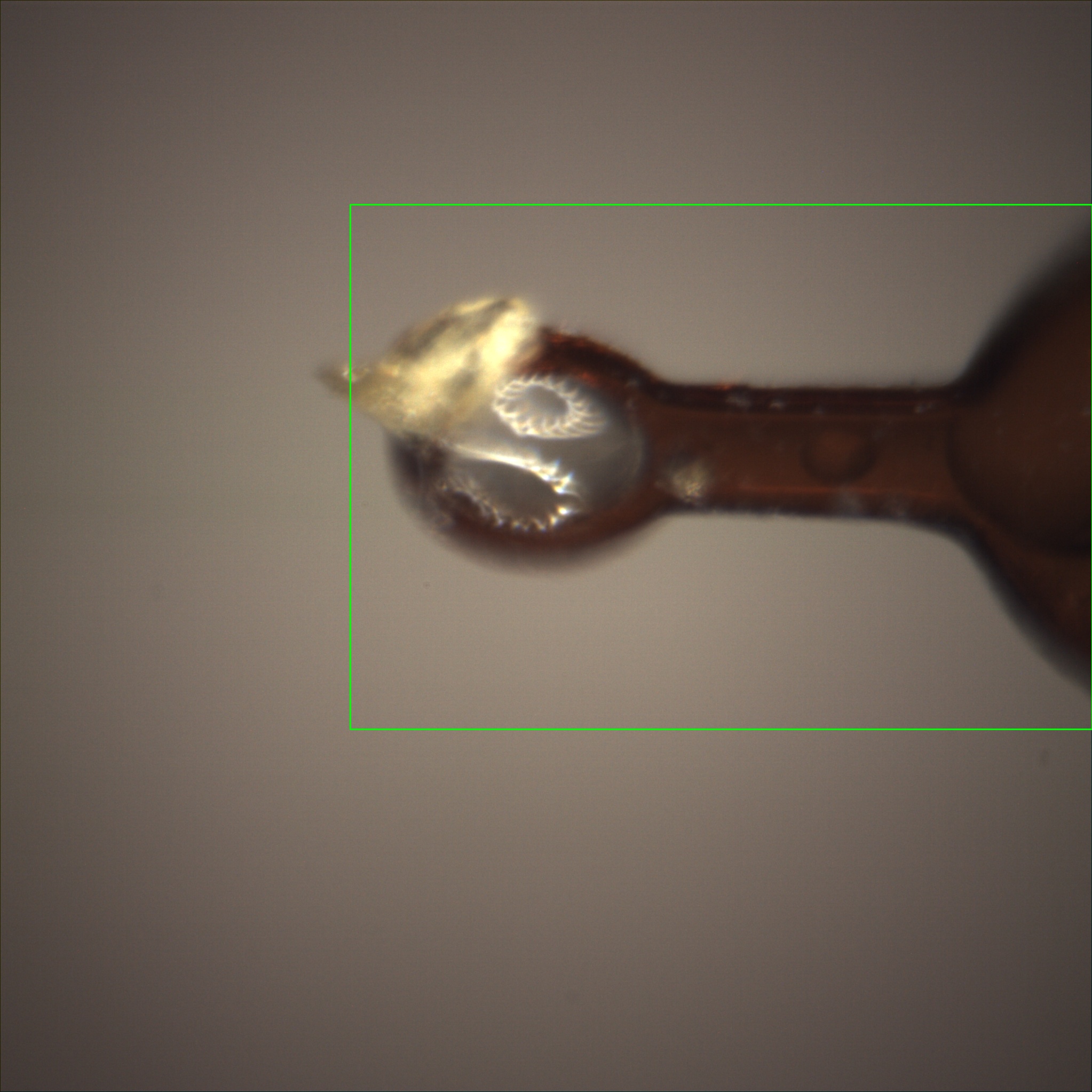 /gotthard_g/aaredb/raw/branch/main/backend/tests/sample_image/bb_raster_0.jpg