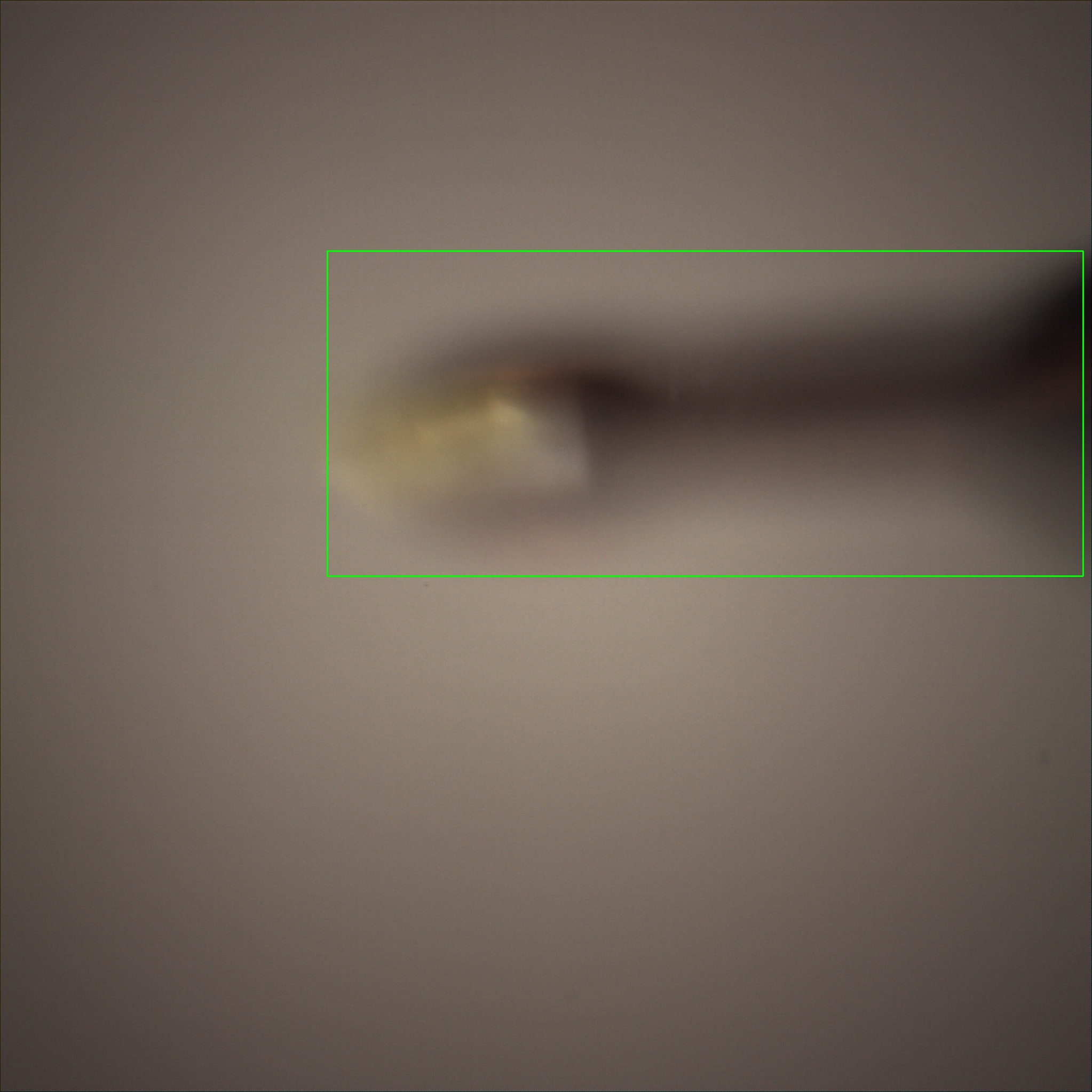 /gotthard_g/aaredb/raw/branch/main/backend/tests/sample_image/bb_raster_90.jpg