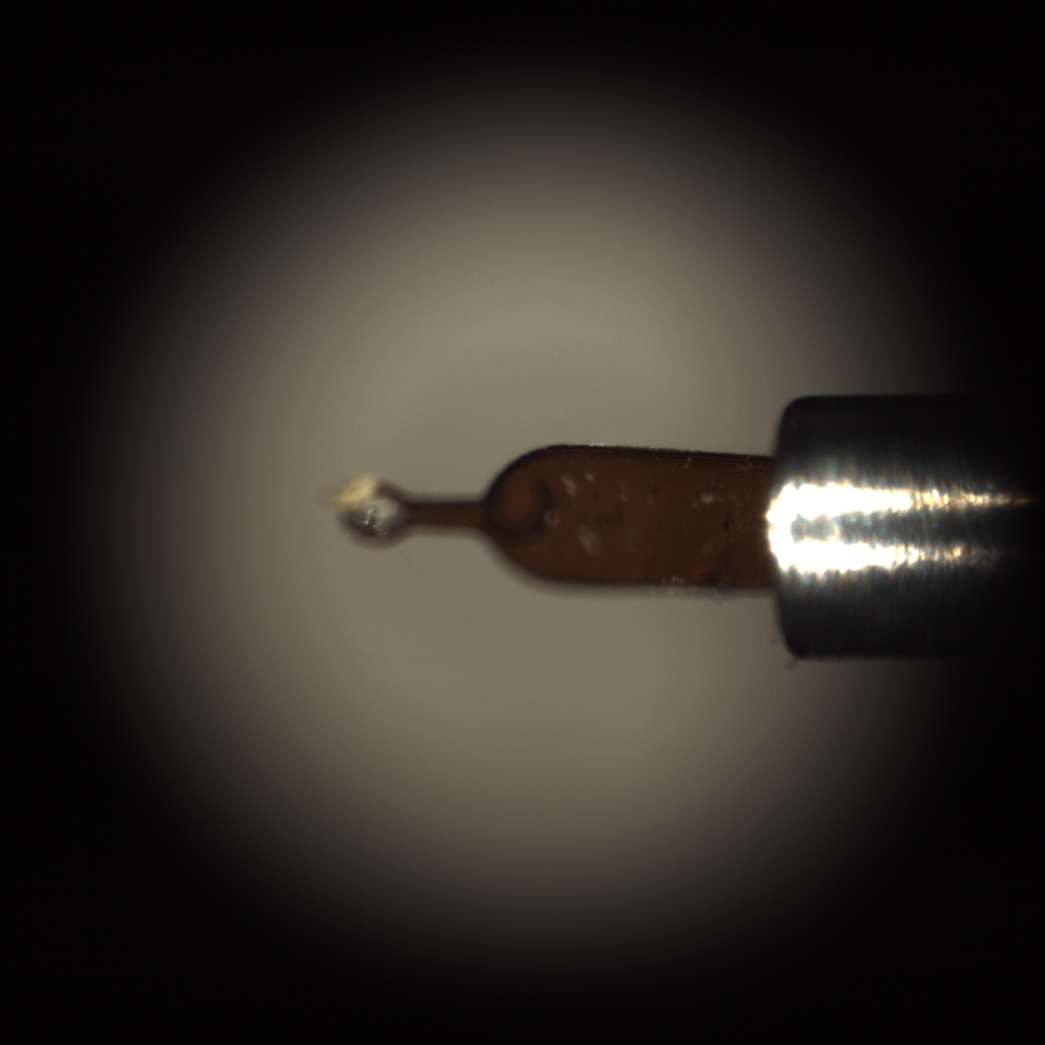 /gotthard_g/aaredb/raw/commit/68f87f0d8df1a879c82200b7b5670ae4f4ce418b/backend/tests/sample_image/0_200.jpg