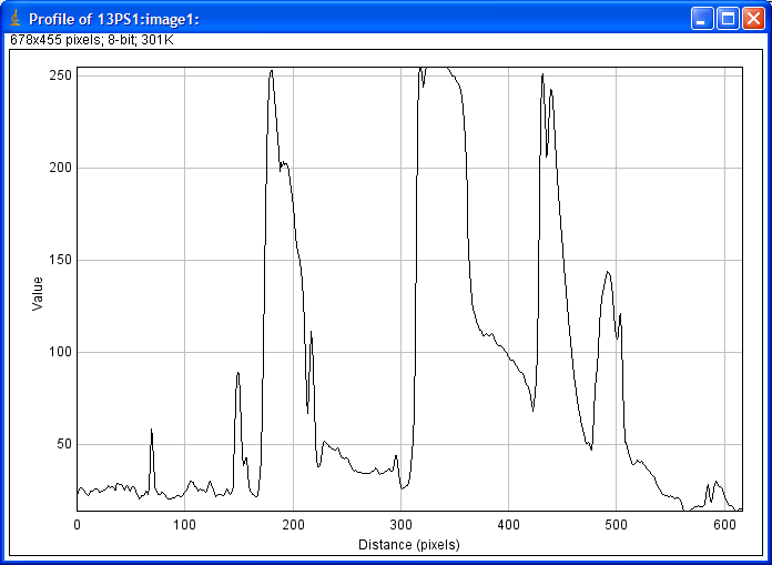 ImageJ_EPICS_AD_Viewer_DynamicProfile.png